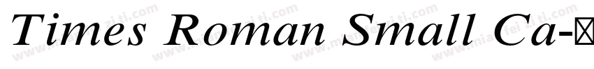 Times Roman Small Ca字体转换